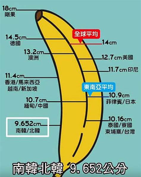 生殖器長|人類陰莖尺寸